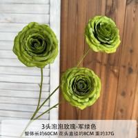 пузырьковая роза зеленая