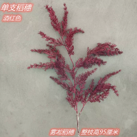 ветка риса красная