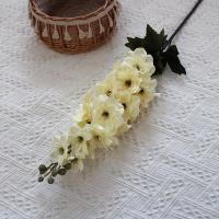 дельфиниум одинарный молочный