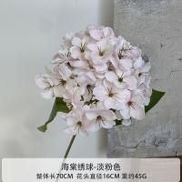 бегония-гортензия черная середина светло-розовая