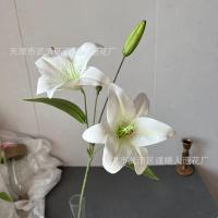 лилия 3D белая