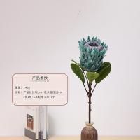 протея бирюзовая