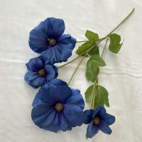 бегония темно-синяя