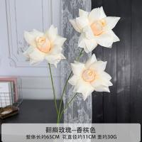 остролистная тройная роза персиковая