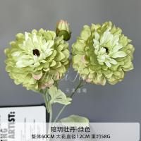 пион черная середина салатовый