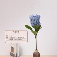 протея синяя