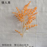 ветка колючка оранжевая