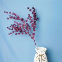 ветка колючка бордовая