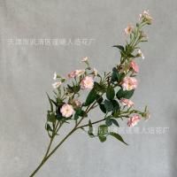 мелкоцвет с зеленью розовый