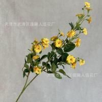 мелкоцвет с зеленью желтый