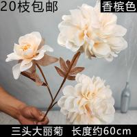 георгин айвори