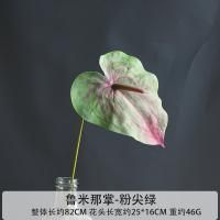 пальмовый антуриум розово-зеленый