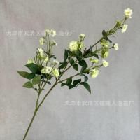 мелкоцвет с зеленью салатовый