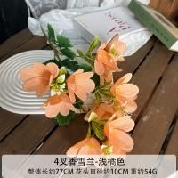 крокус 10 штук светло-оранжевый