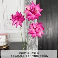 остролистная тройная роза фуксия