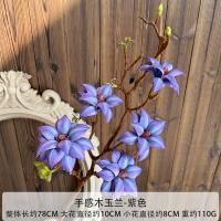 магнолия фиолетовая