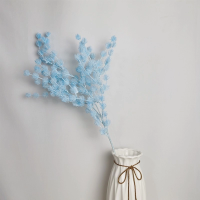 ветка колючка голубая