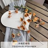 мелкоцвет оранжевый