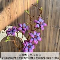 магнолия сине-фиолетовая