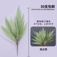 папоротник светло-зеленый