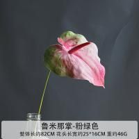 пальмовый антуриум ярко розово-зеленый