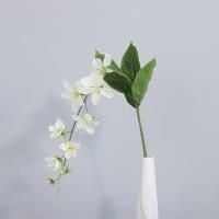 ампельный морозник опт 10 штук  белый