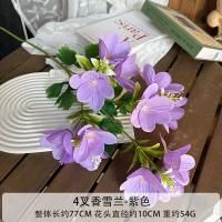 крокус 10 штук фиолетовый