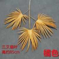 10 штук пальма 2 оранжевый