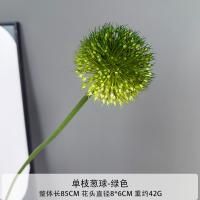 одуванчик зеленый