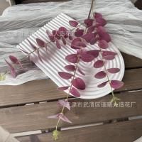 эвкалипт 5 шт фиолетовый