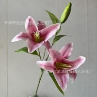 лилия 3D темно-розовая