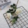 кустовая роза три шт на ветке белая