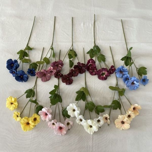 бегония темно-синяя