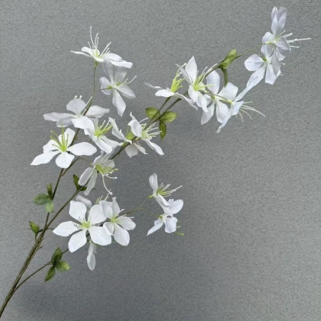 ветка жасмина белый