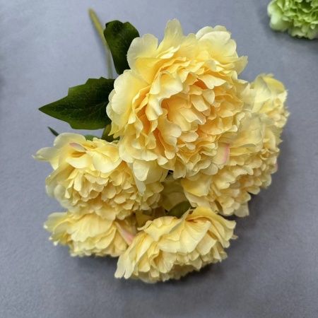 букет французских пионов 7 голов желтый