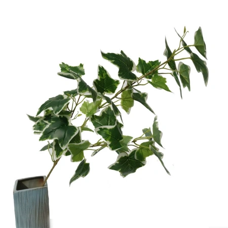 плющ 2 шт 80 см бело-зеленый