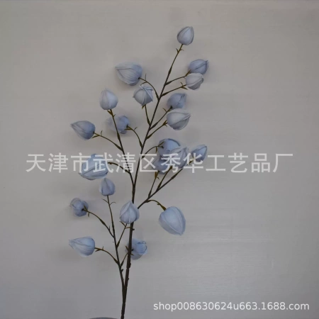 физалис 4 ветки голубой