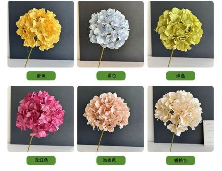 гортензия 24 см бежевая