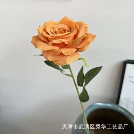 Одинарная остролистная роза оранжевый