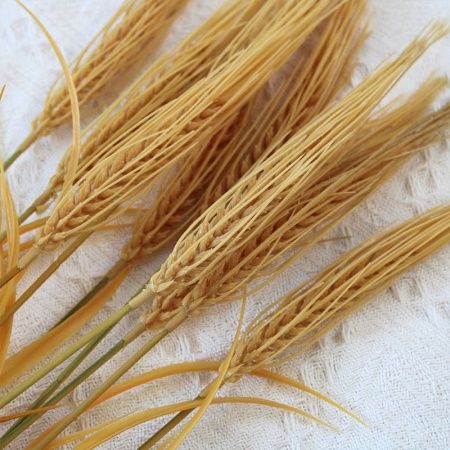 пшеница опт 50 штук коричневая