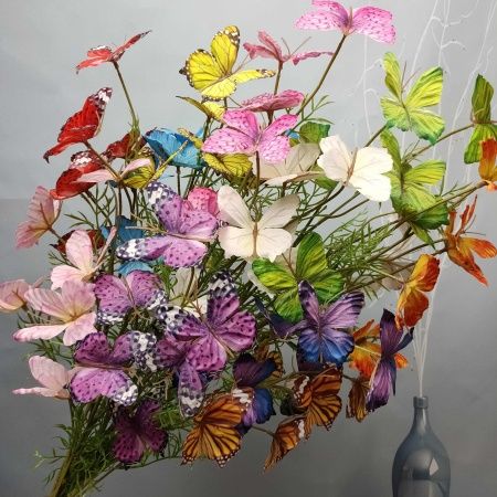 ветка бабочки белый