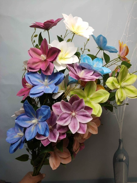 клематис пропилен фиолетовый