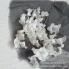 ветка колокольчика пышная молочно-белый