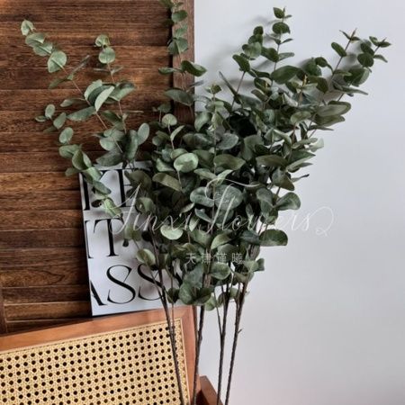 эвкалипт пластик зеленый