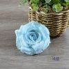 пачка 20 штук роза объемная 12 см голубой