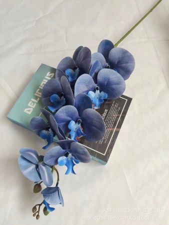 орхидея прорезиненная синий