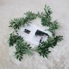 лиана 10 штук зеленая