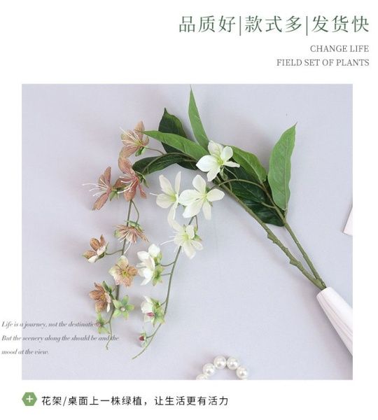 ампельный морозник опт 10 штук  бежево-розовый