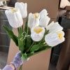 тюльпан 5 штук белый