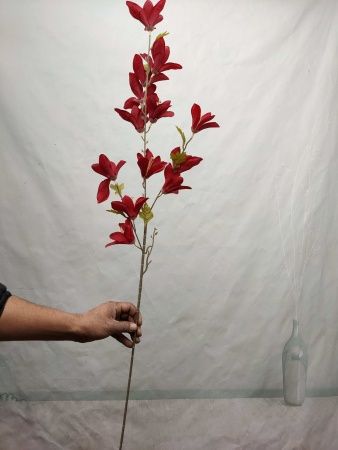 ветка магнолии кремовый